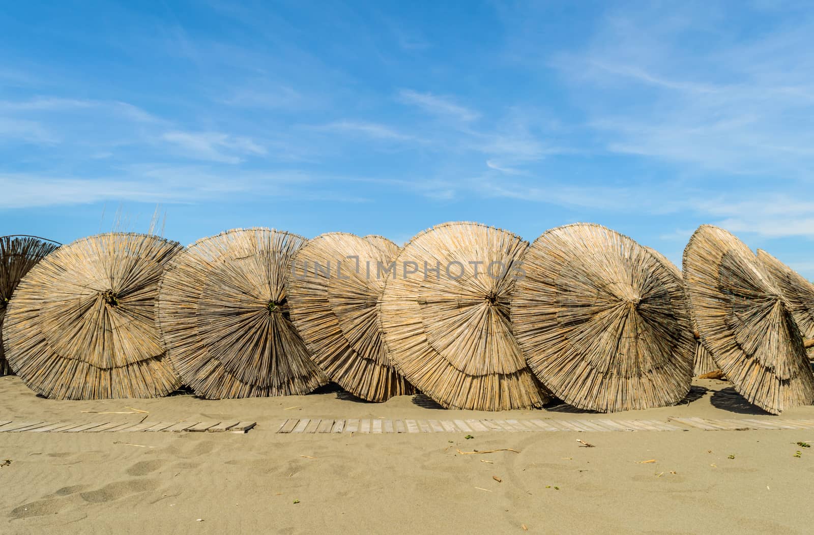 Wooden parasols on sandy seaside 