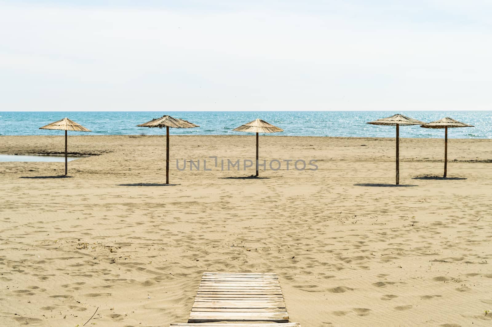 Wooden parasols on sandy seaside 