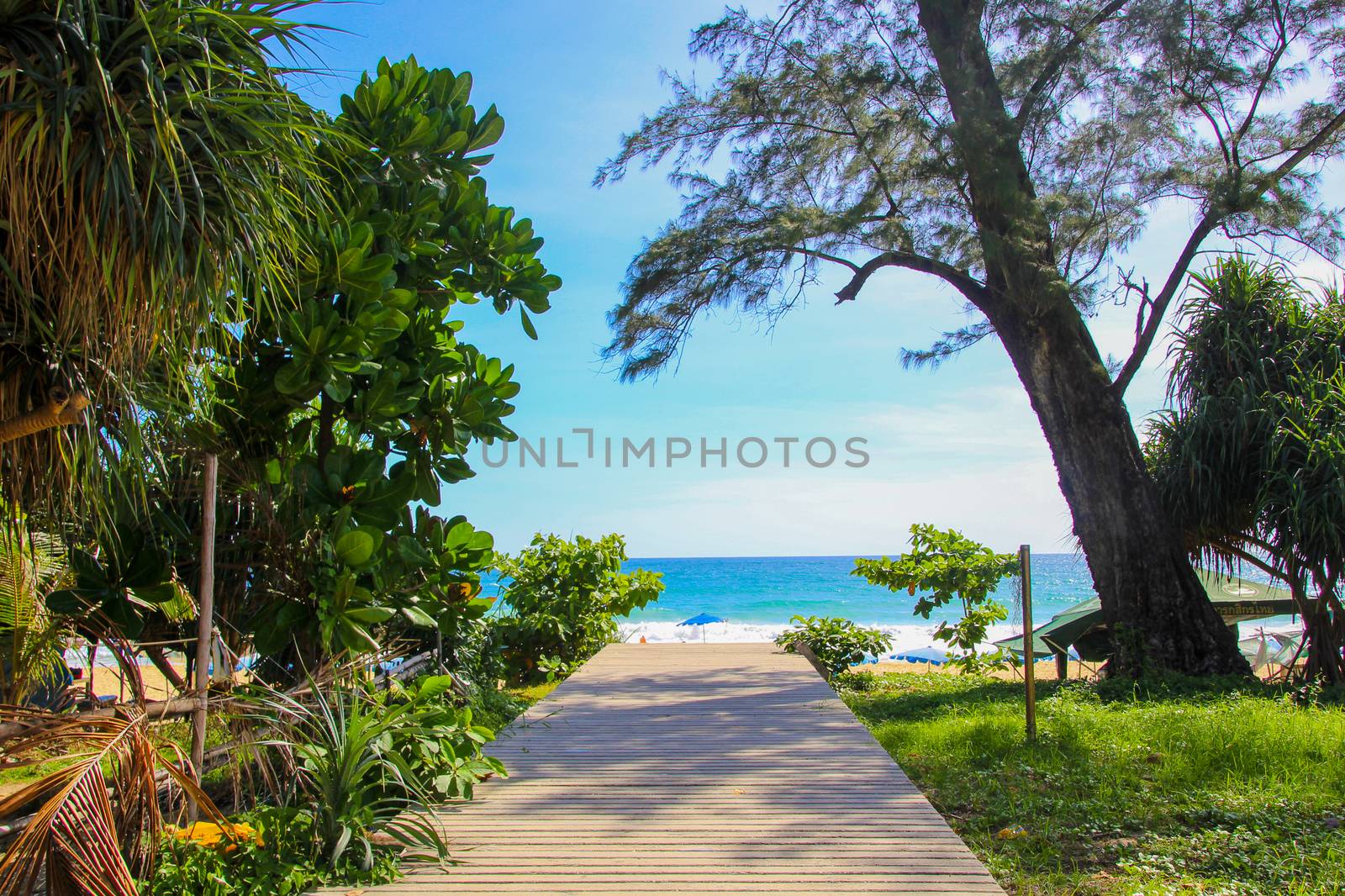 Wooden deck leading to blue water and beach