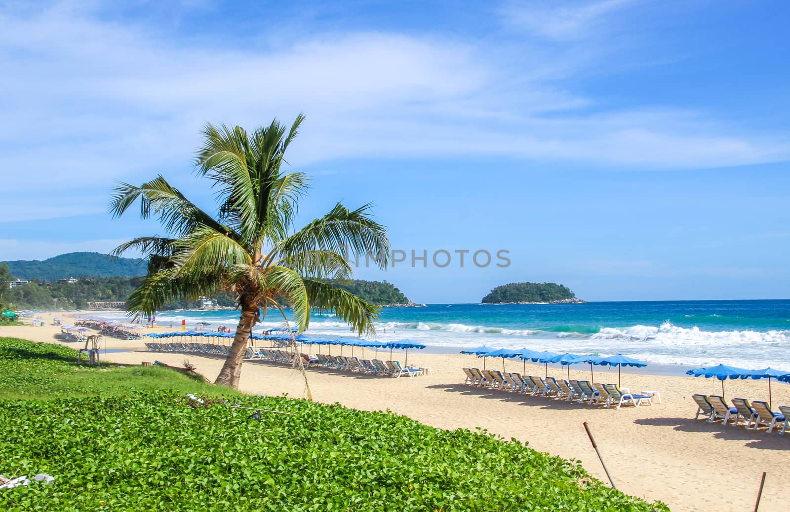 Relaxing beach chairs on the beach and palm tree.