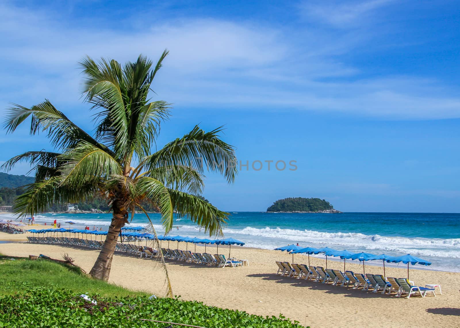 Relaxing beach chairs on the beach and palm tree.