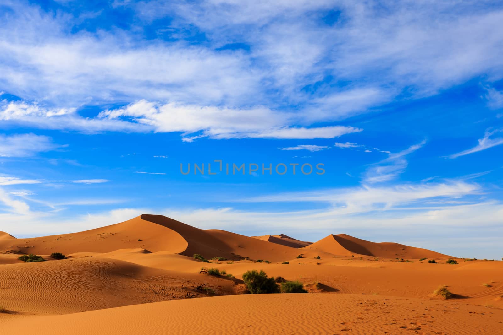 dune erg Chebbi in the blue sky, Morocco