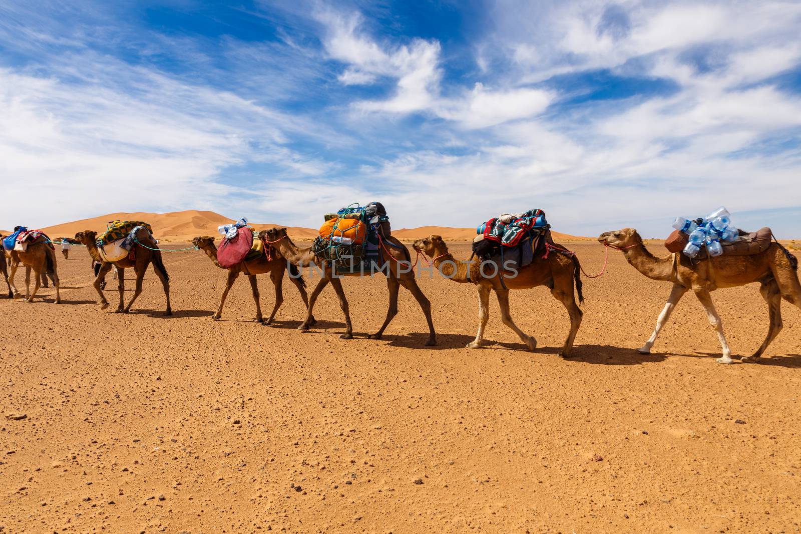 trade caravan in the desert by Mieszko9