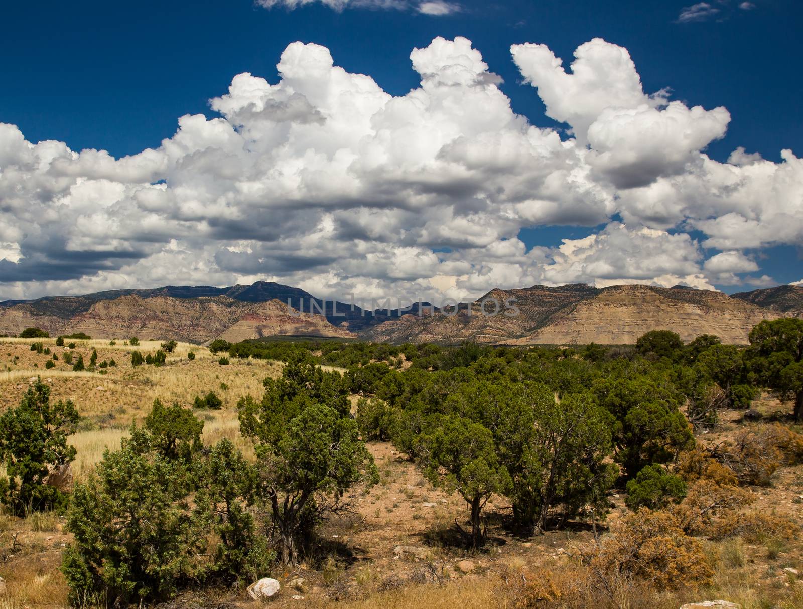 The barren and remote Utah desert.
