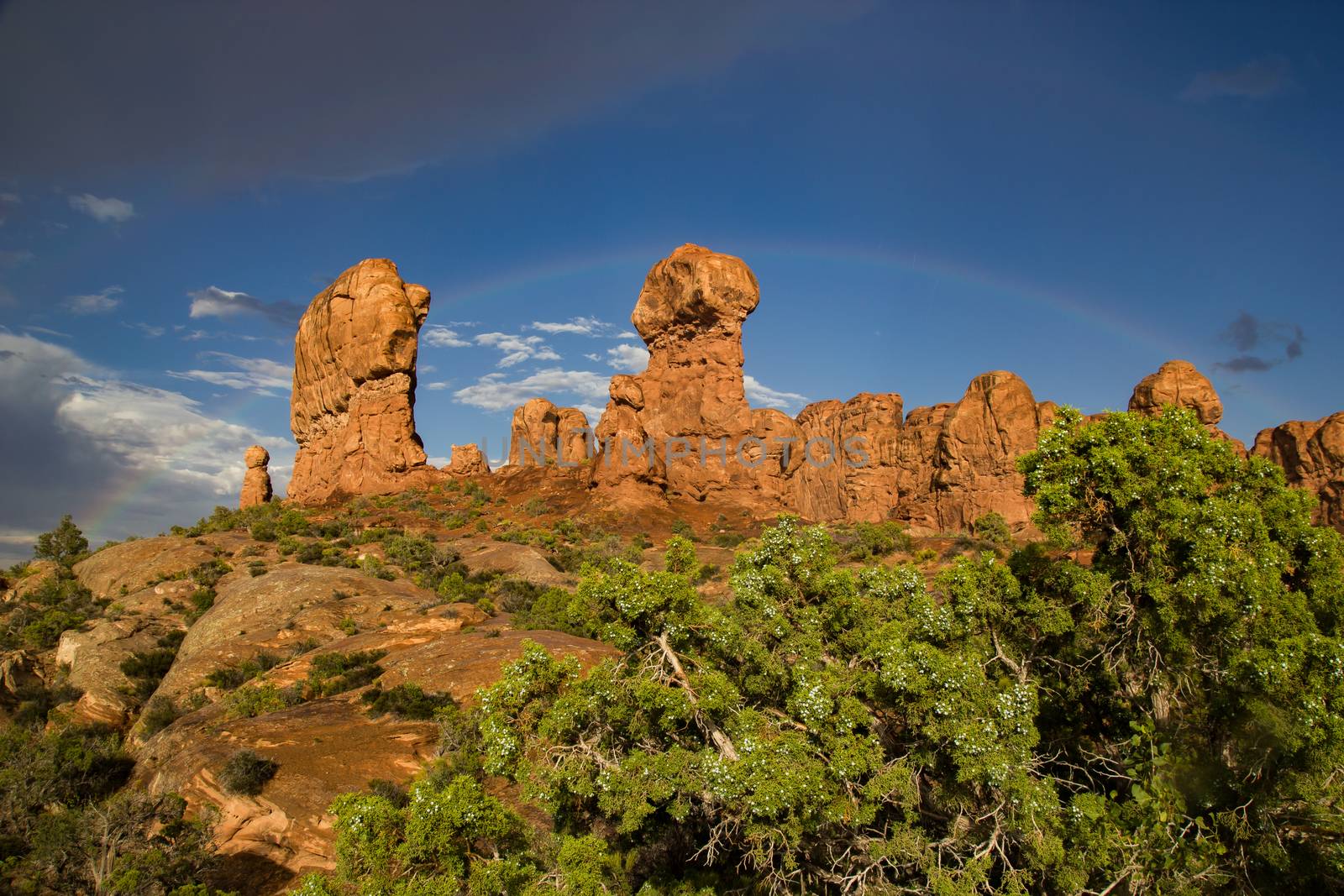 Arches National Park by teacherdad48@yahoo.com