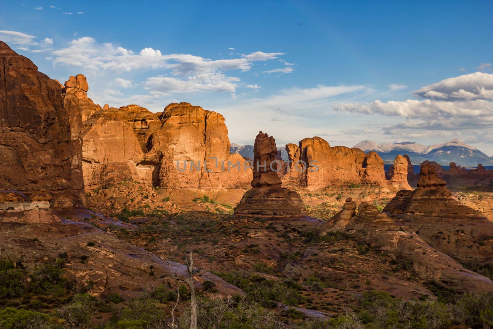 Parade of Elephants,  National Park. Utah.