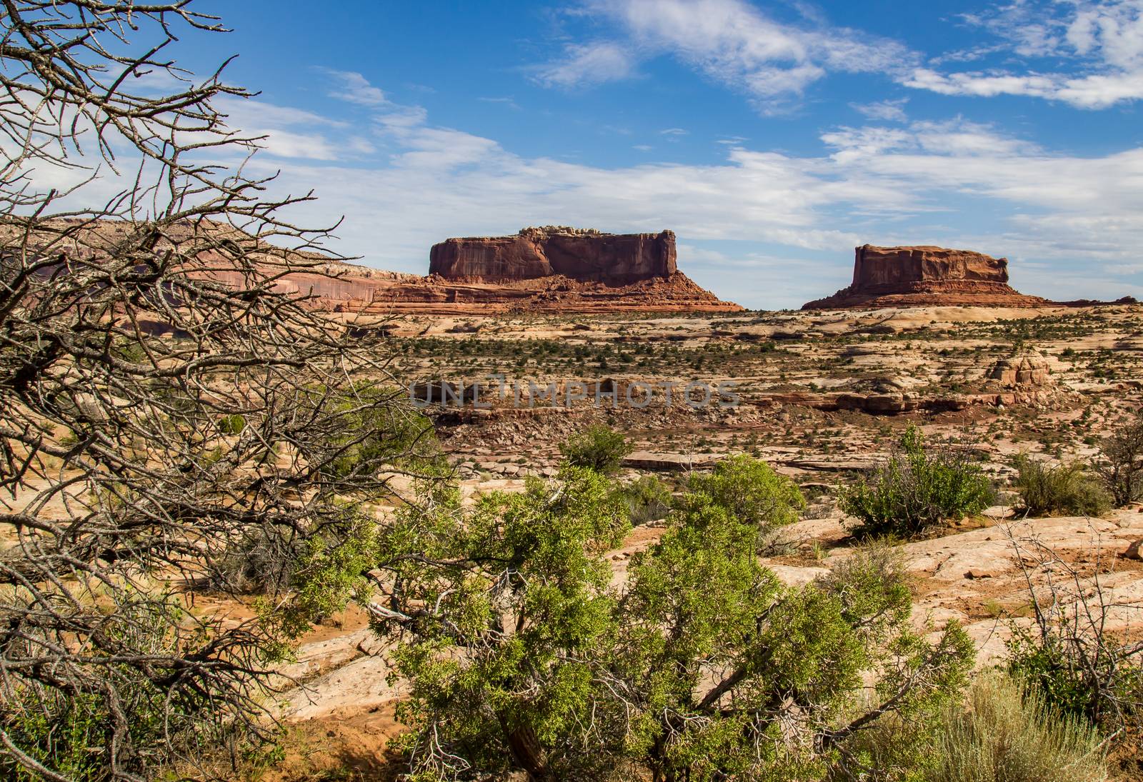 Rock formations in Canyonlands National Park, Wyoming.