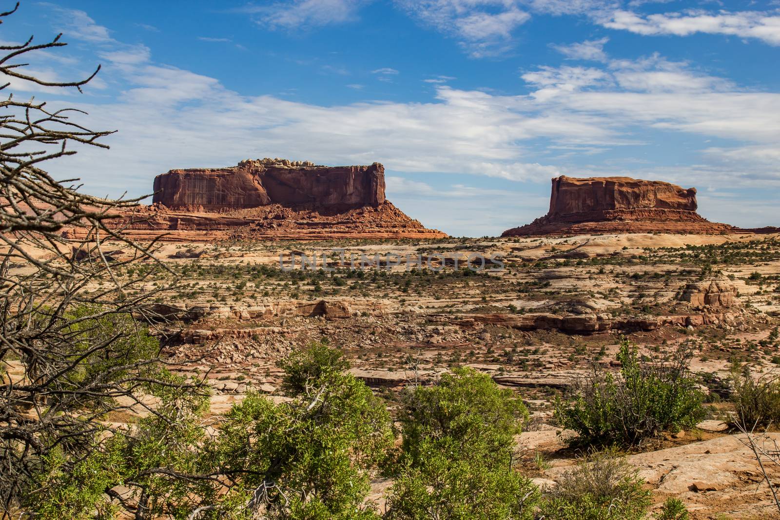 Rock formations in Canyonlands National Park, Wyoming.