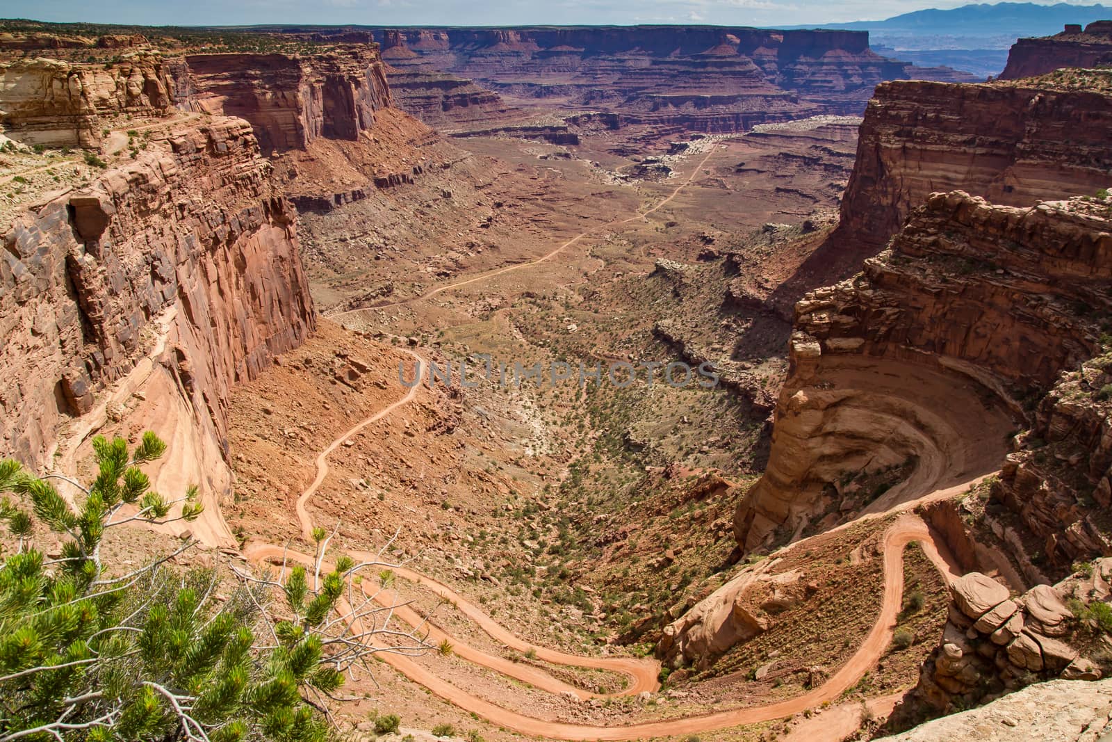 Road deep into Canyonlands National Park, Utah.