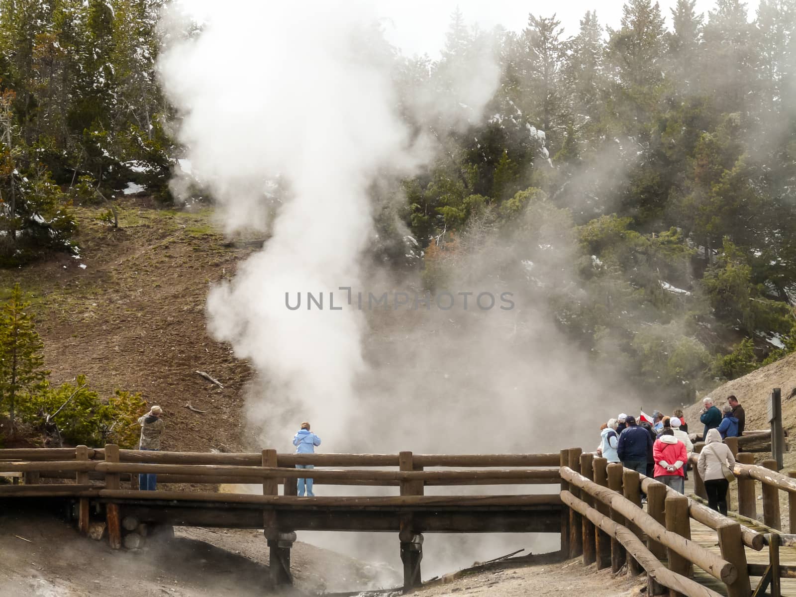 Visitors to the Yellowstone Park watching geyser from boardwalk by wit_gorski