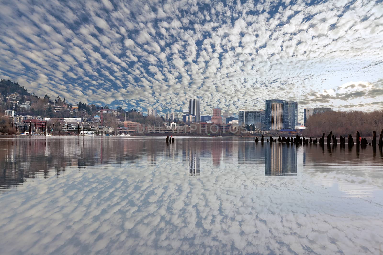 Portland Oregon and South Waterfront Skyline Reflection on Willamette River with Blue Sky and White Clouds