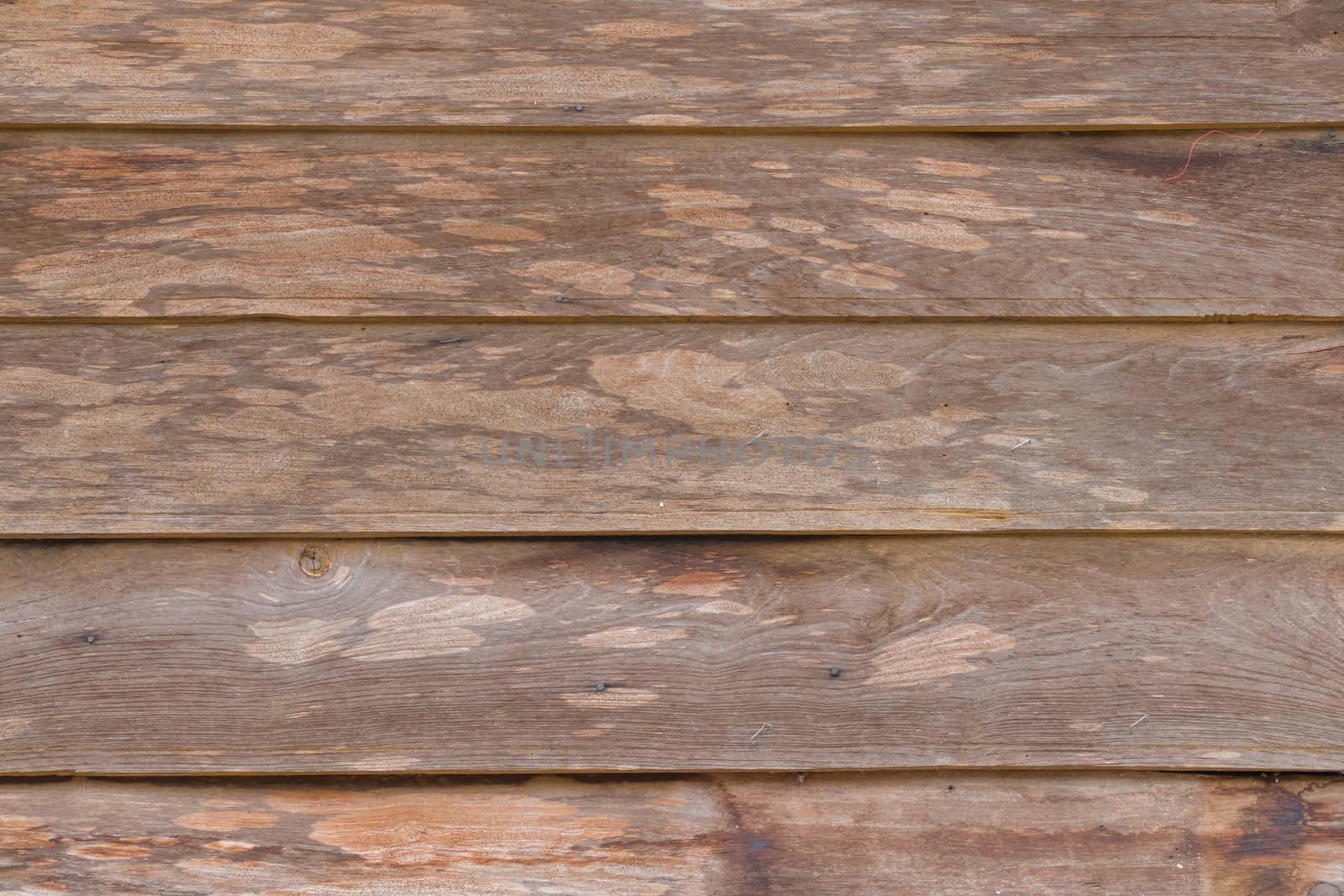 wood texture with natural pattern, Wood Texture Background