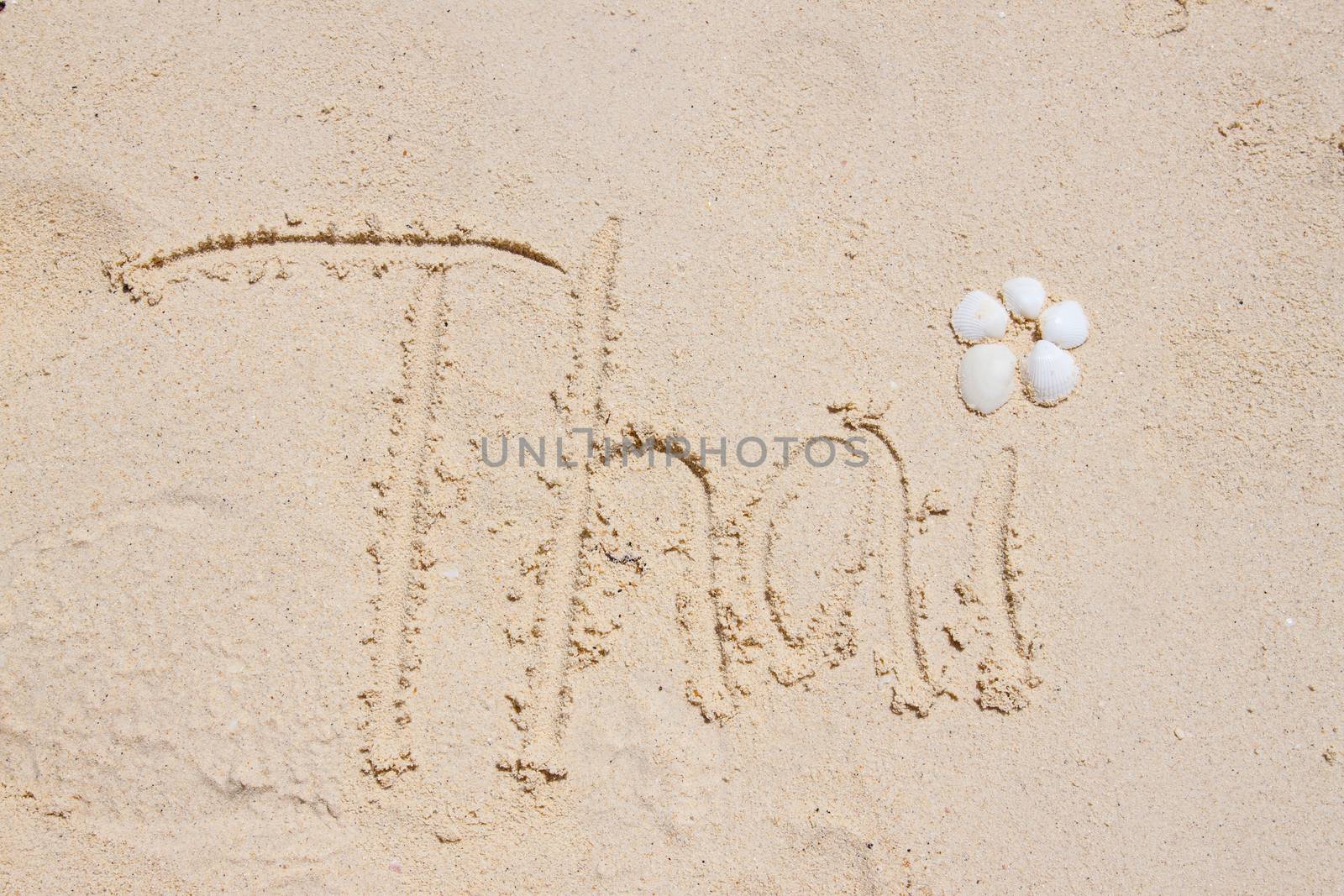 Summer vacation background with letters and white shells