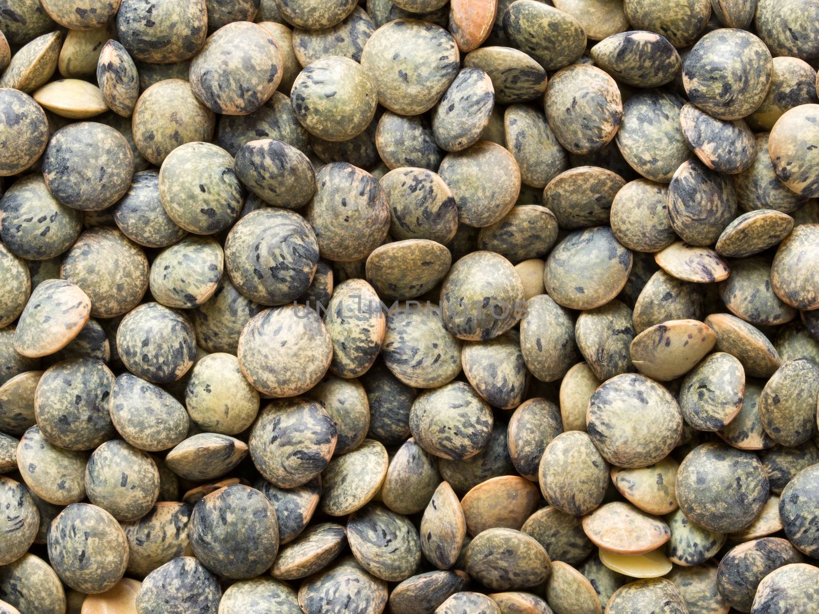 close up of dried french green puy lentil food background