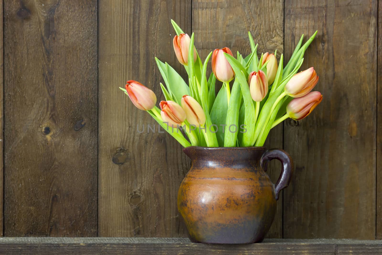 colourful tulips in a vase