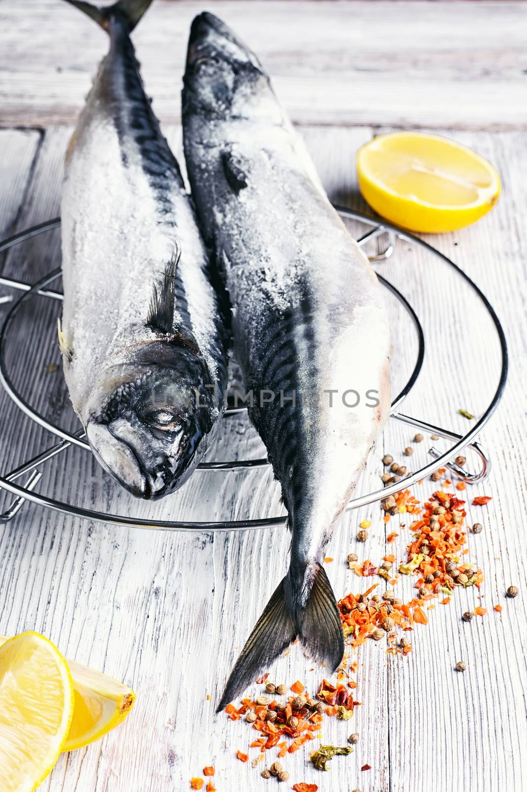 Two fresh mackerel marinated with spices and lemon juice.Photograph high key