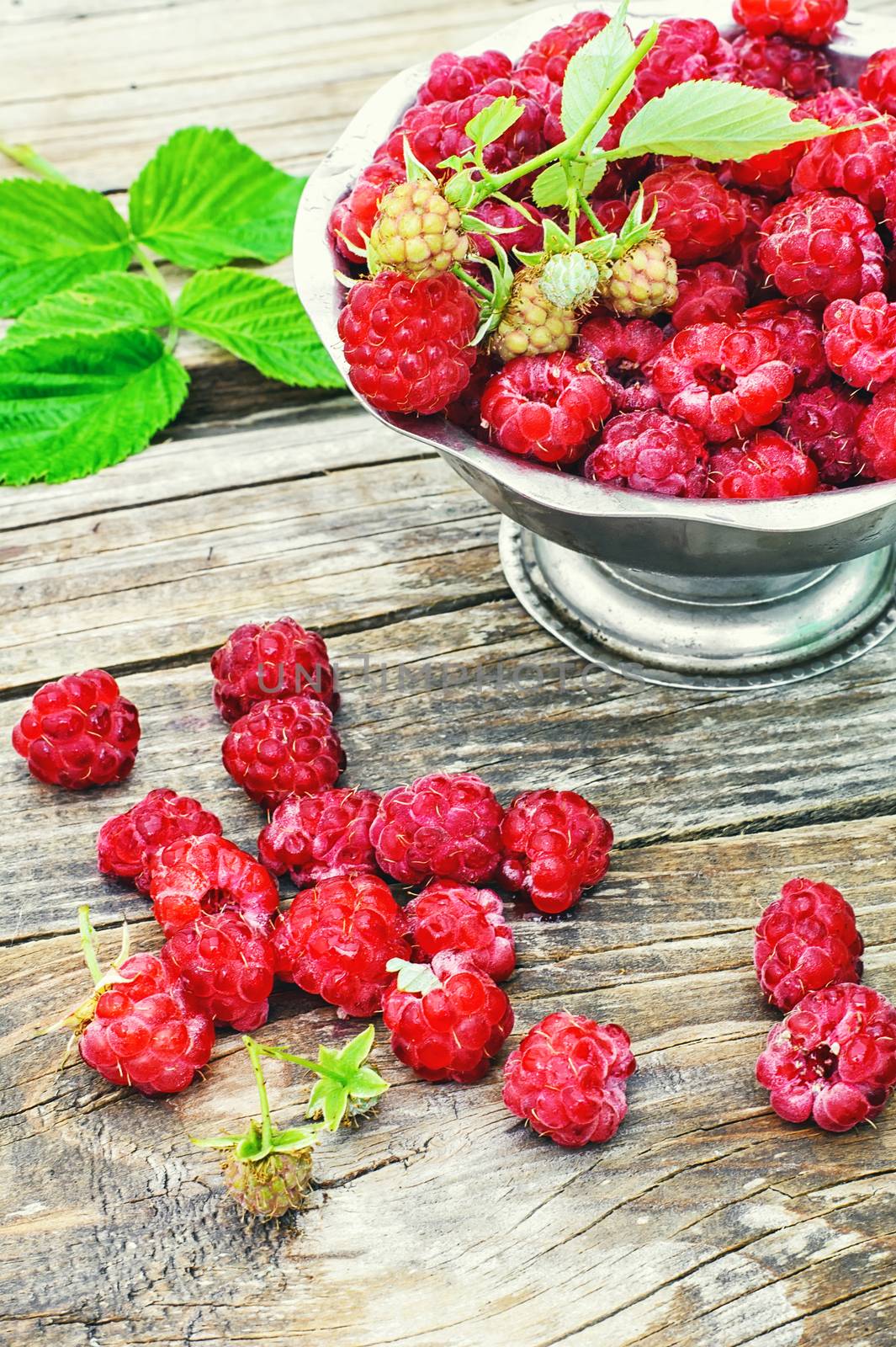 berries ripe raspberry on metal background
