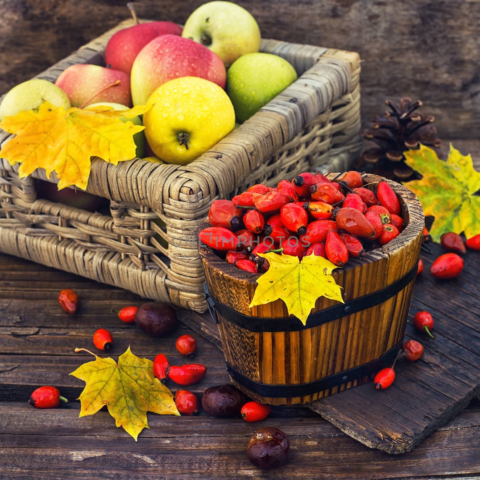 Still life with autumn apples by LMykola