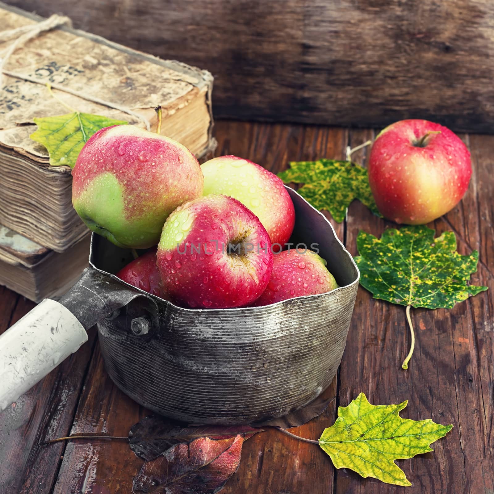 Autumn apples in old stylish saucepan amid the buckets of fallen leaves