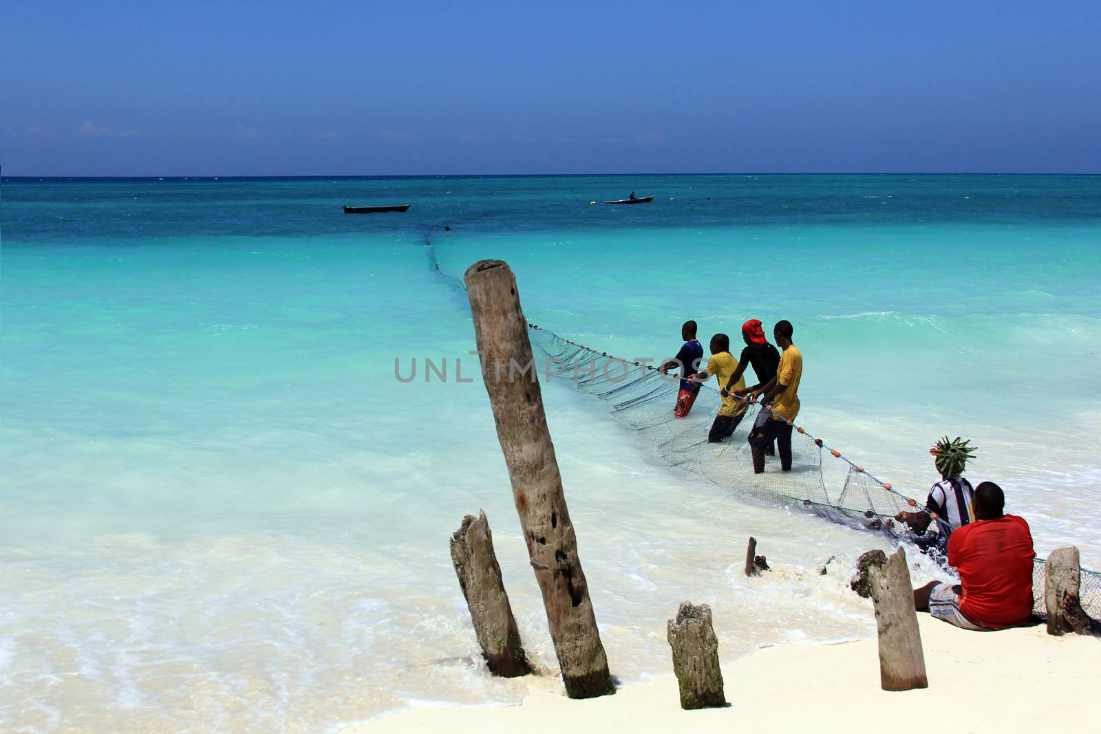 Zanzibar, Tanzania - January 6, 2016: African fishermen pulling fishing nets from the ocean. The village of Nungwi, Zanzibar. Tanzania