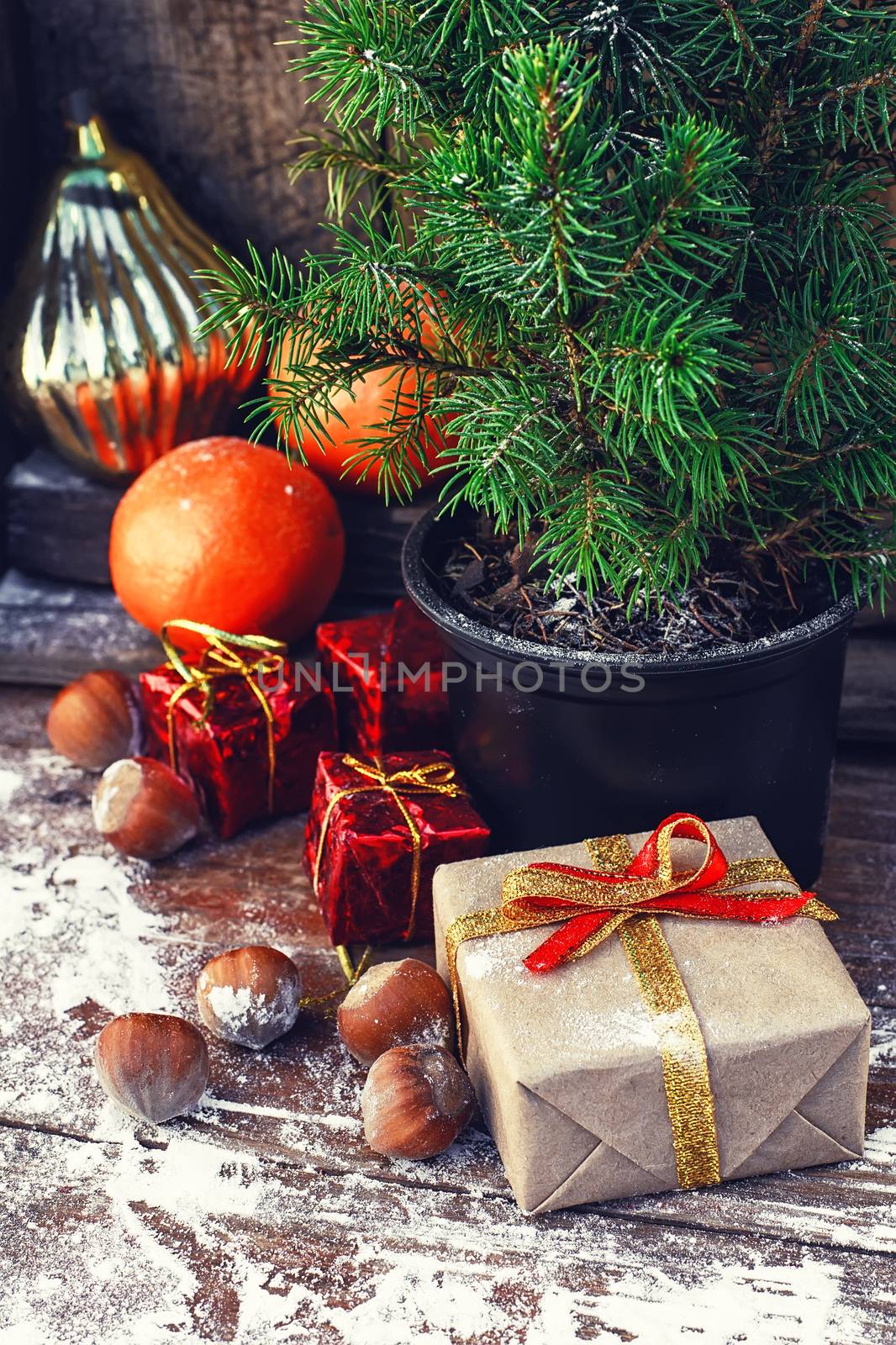 Christmas tree in a pot on background of oranges and boxes of gifts.