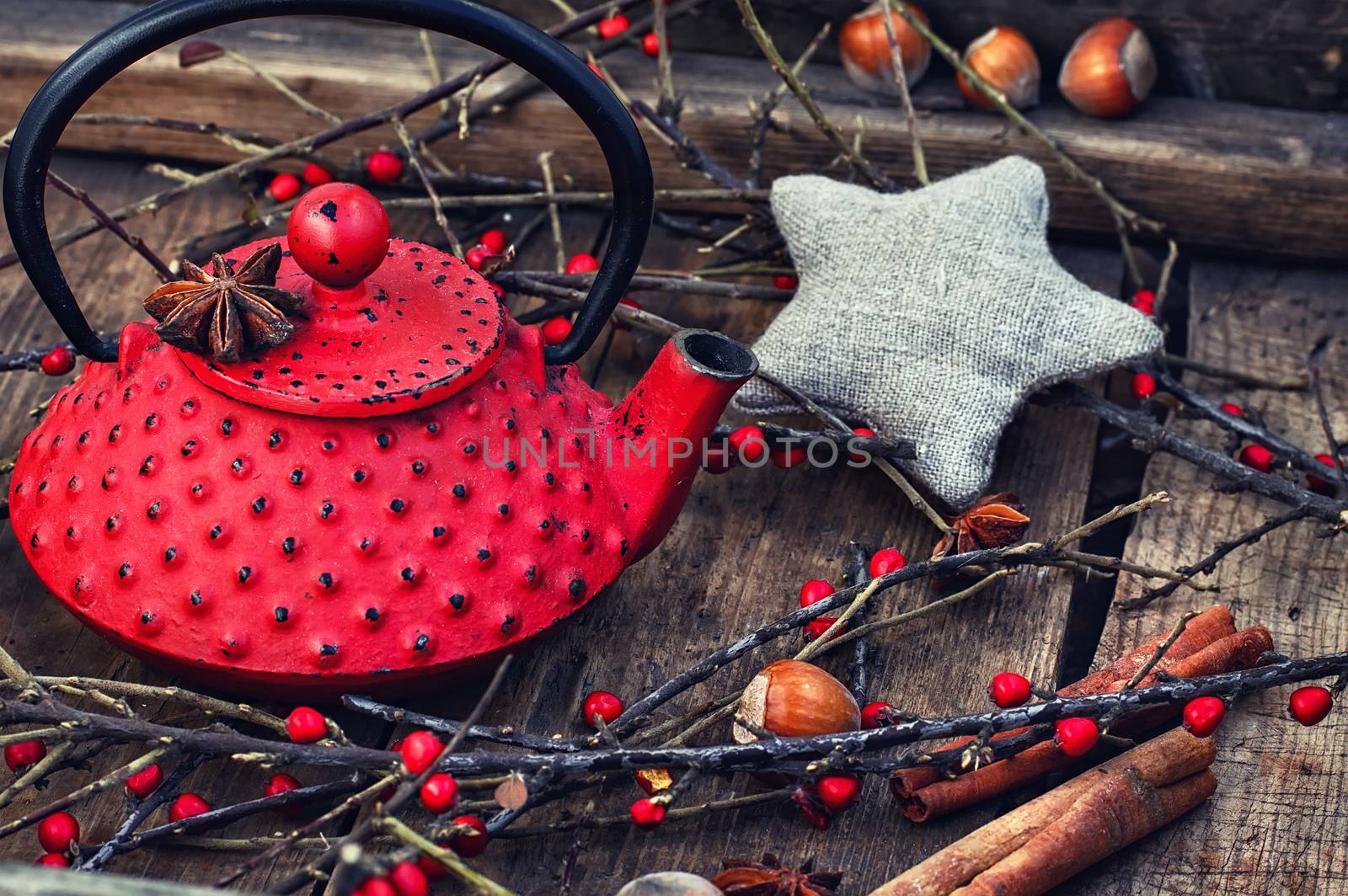 Kettle and branches with berries by LMykola