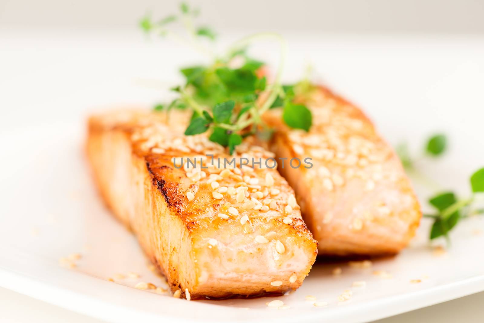 Grilled salmon, sesame seeds  and marjoram on white plate. Studio shot