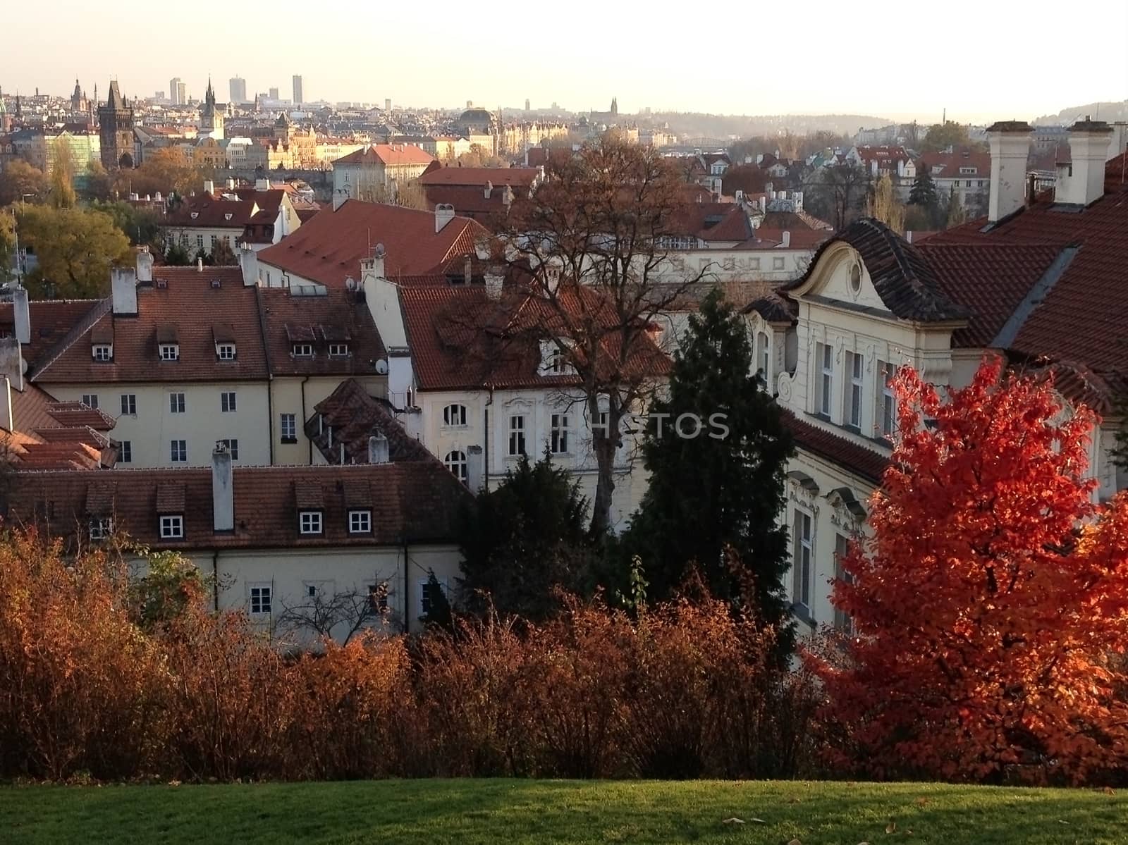 cityscape in autumn season