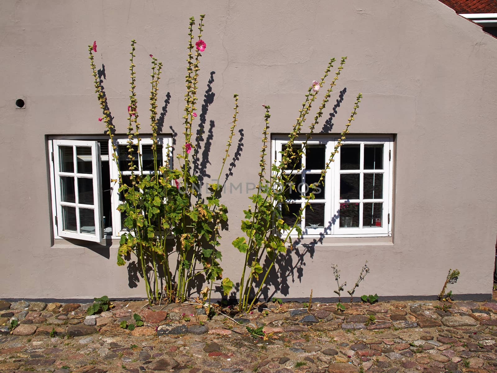 Details of a typical country farm house decorated with flowers