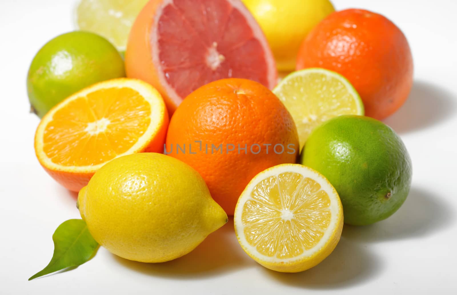 citrus fruits isolated on white background
