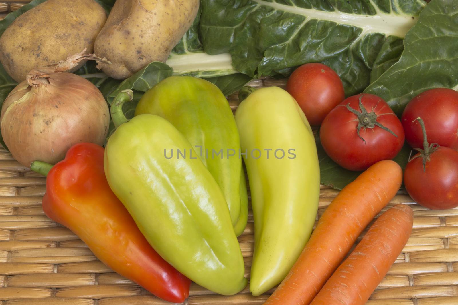 Freshly picked vegetables produced based on organic ones