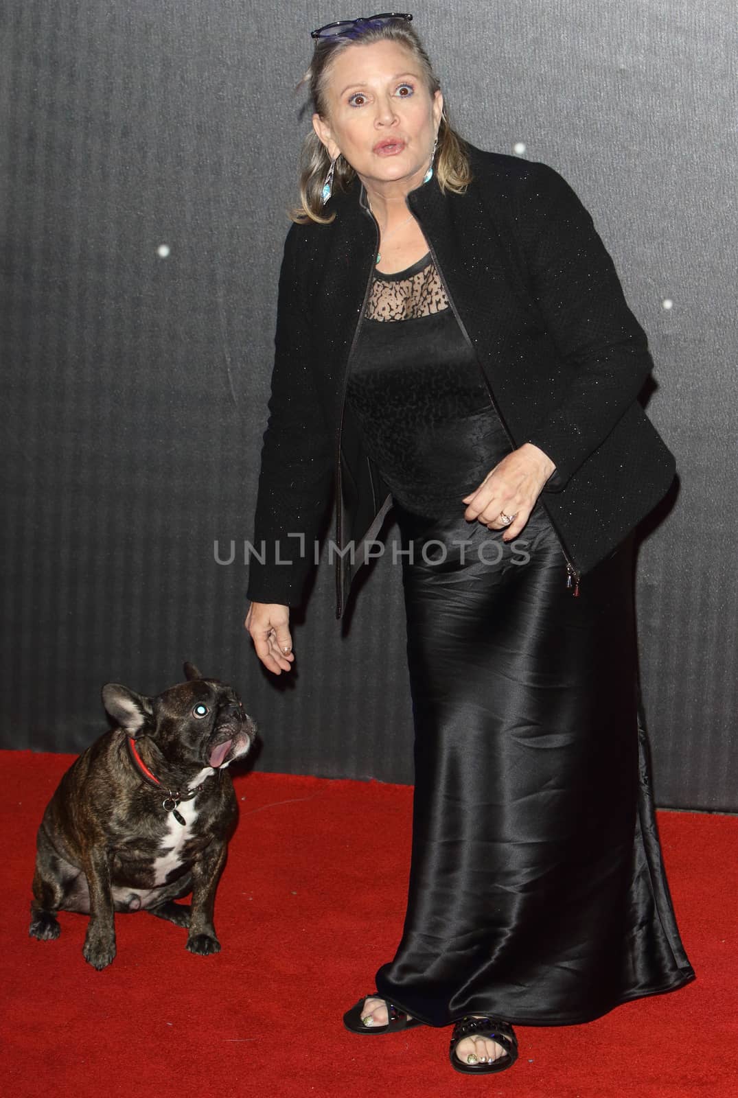 UNITED-KINGDOM, London : The Princess Leia actress Carrie Fisher walks the with her pet pooch Gary while Star Wars cast, crew and celebrities hit the red carpet for the last episode The Force Awakens European Premiere on December 16, 2015 in central London.   	