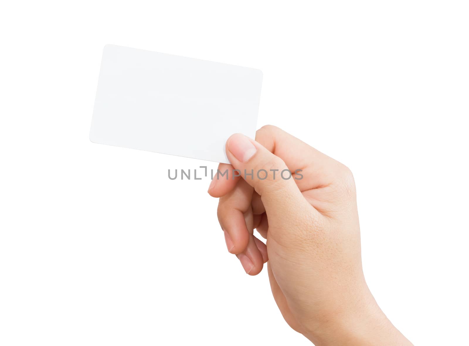 female hand holding blank card isolated clipping path in image data