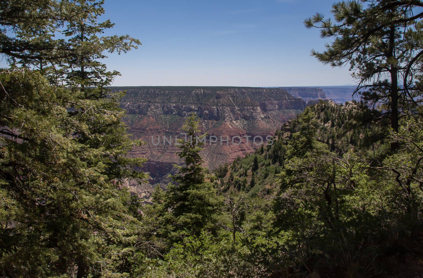 North Rim of the Grand Canyon National Park, Arizona.