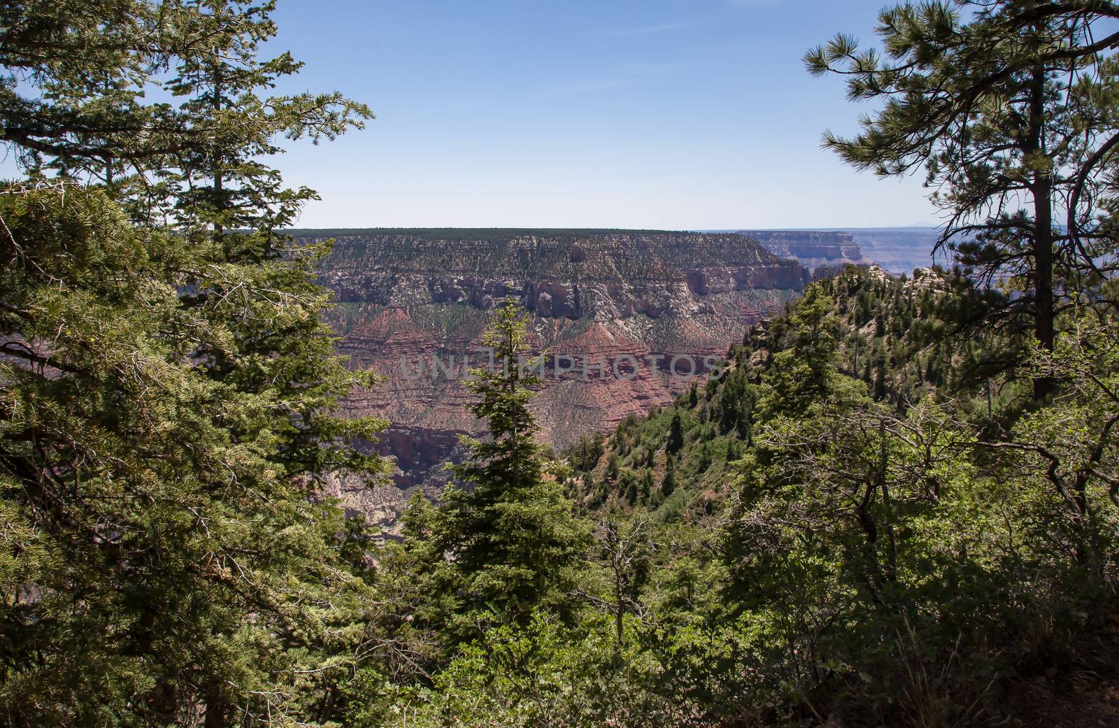 North Rim of the Grand Canyon National Park, Arizona.