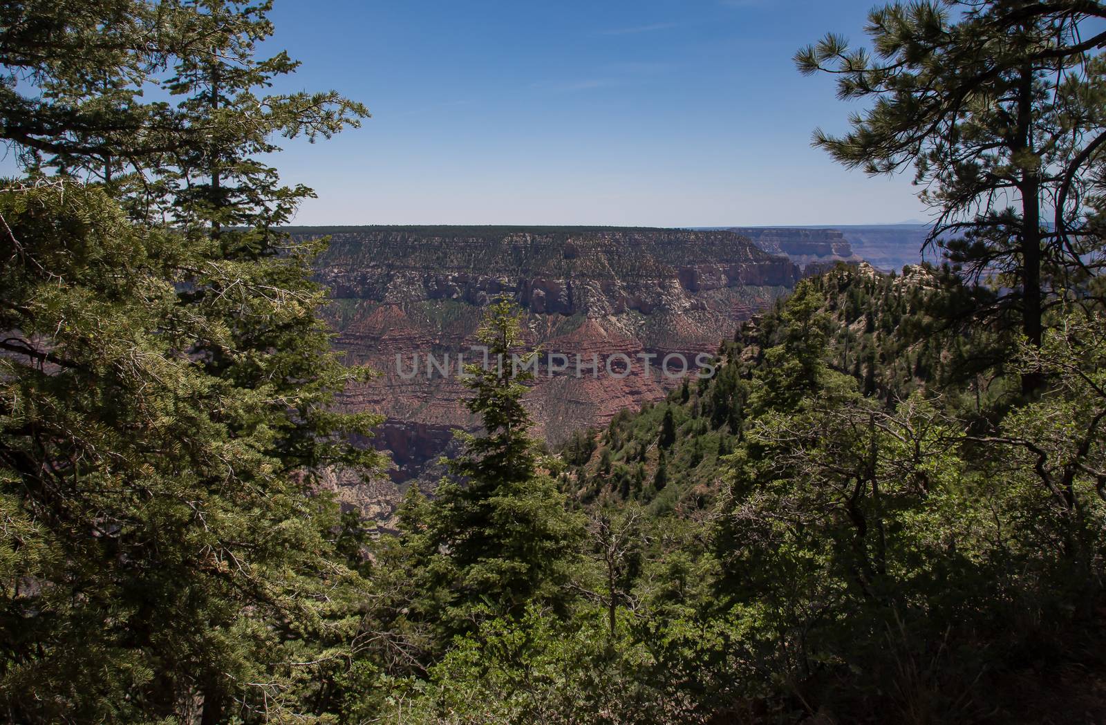 Grand Canyon National Park by teacherdad48@yahoo.com