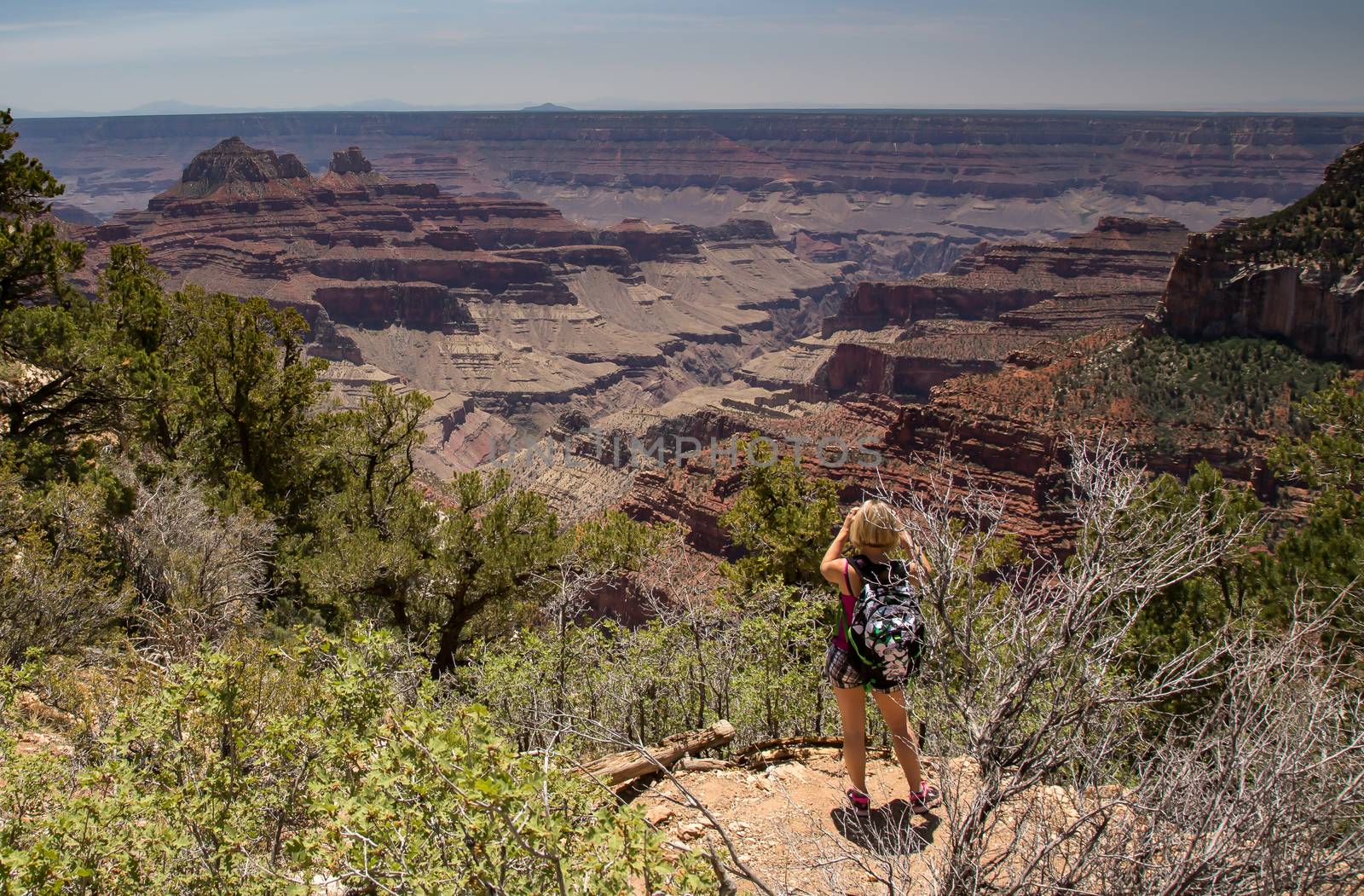 A hiker looks out into the vast wilderness of North Rim of the Grand Canyon National Park, Arizona.