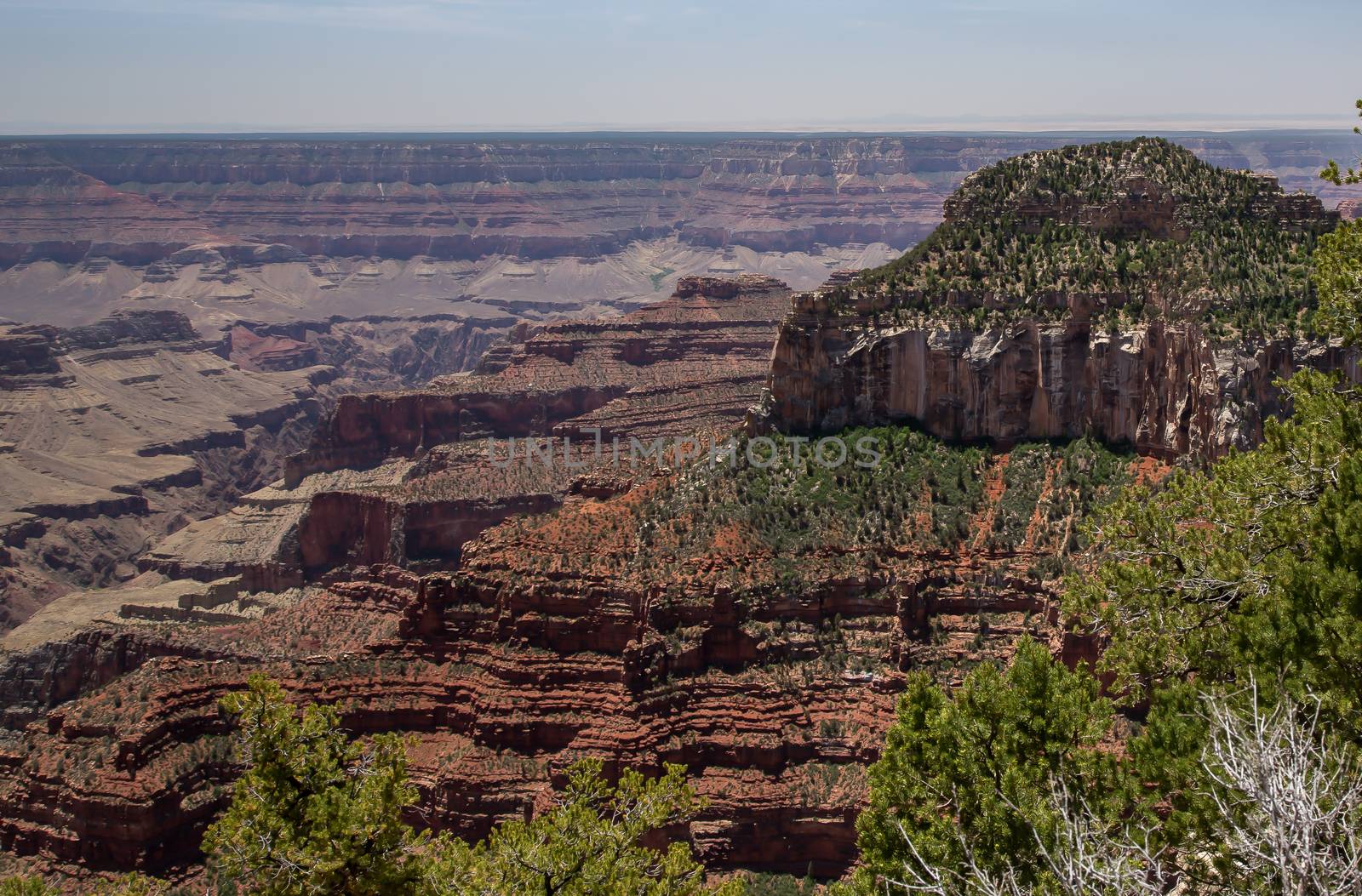 North Rim of the Grand Canyon National Park, Arizona.