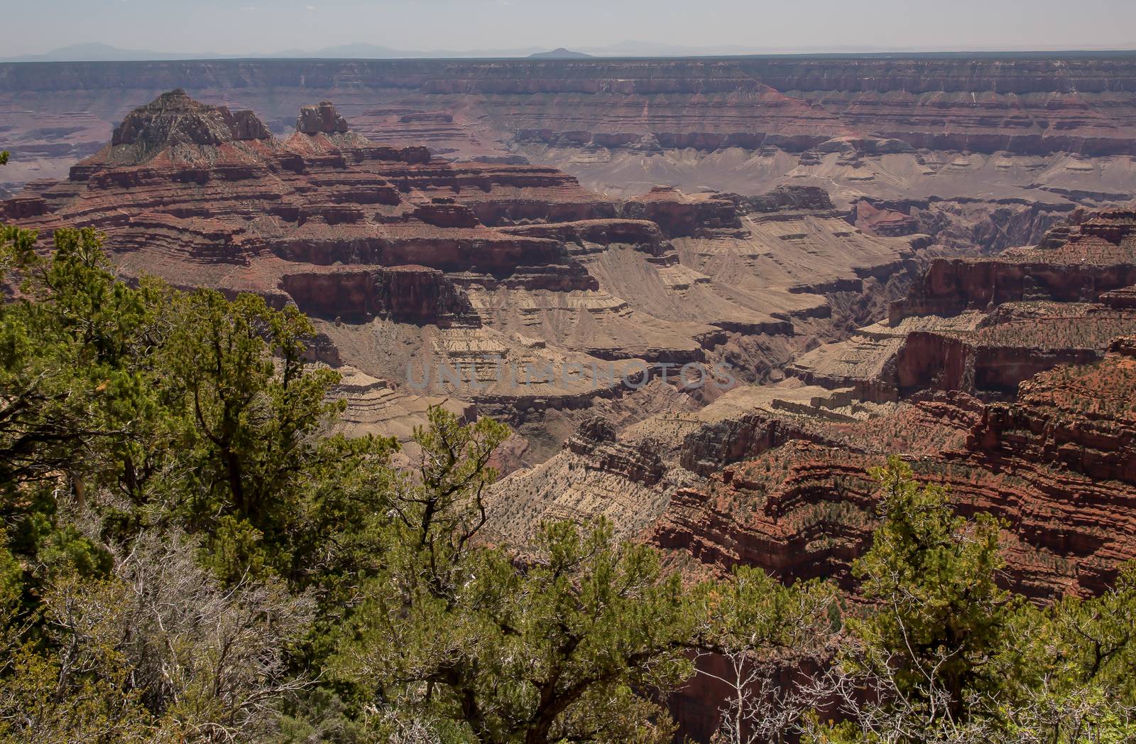 North Rim of the Grand Canyon National Park, Arizona.