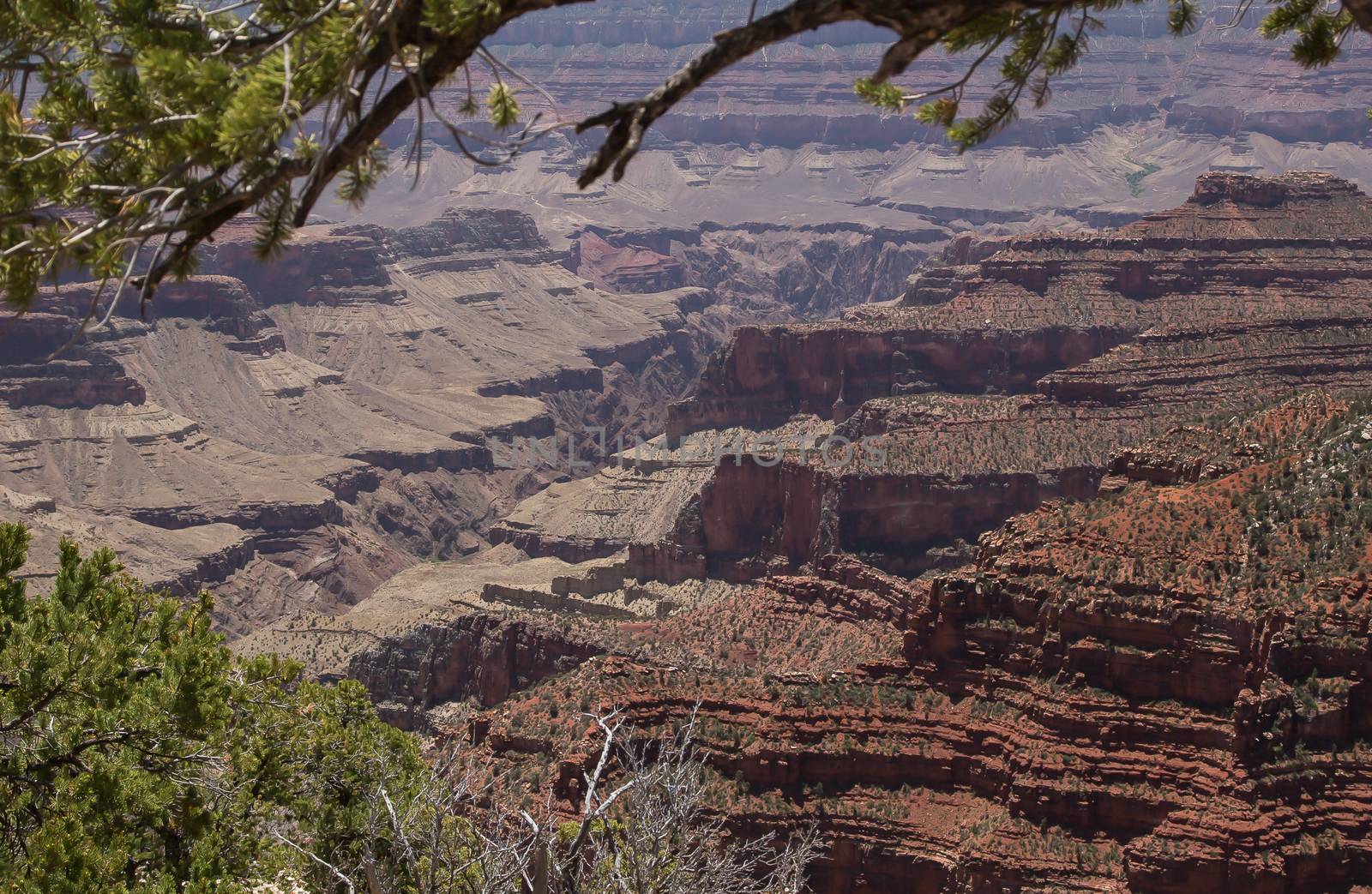 North Rim of the Grand Canyon by teacherdad48@yahoo.com