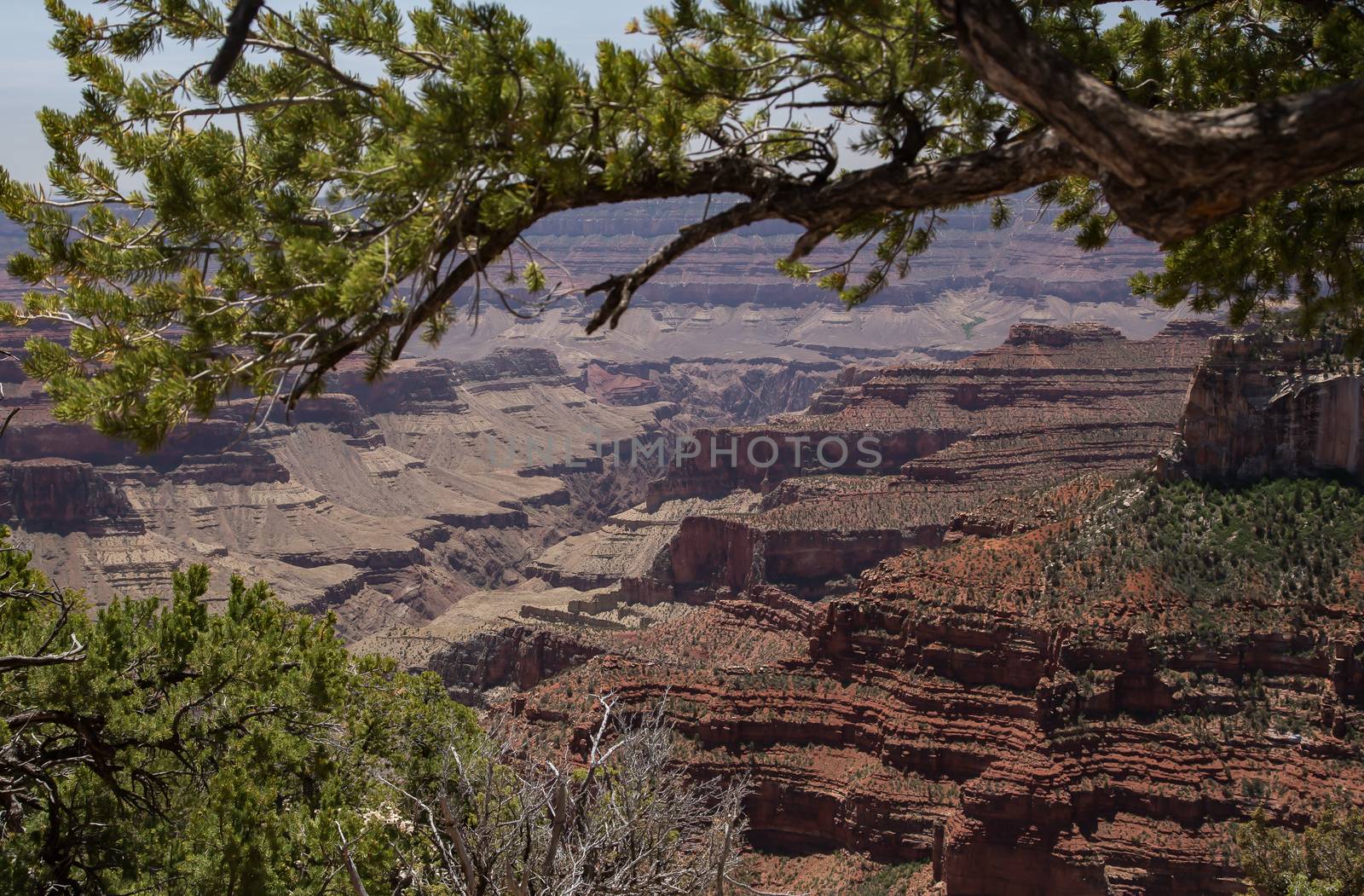 Grand Canyon by teacherdad48@yahoo.com