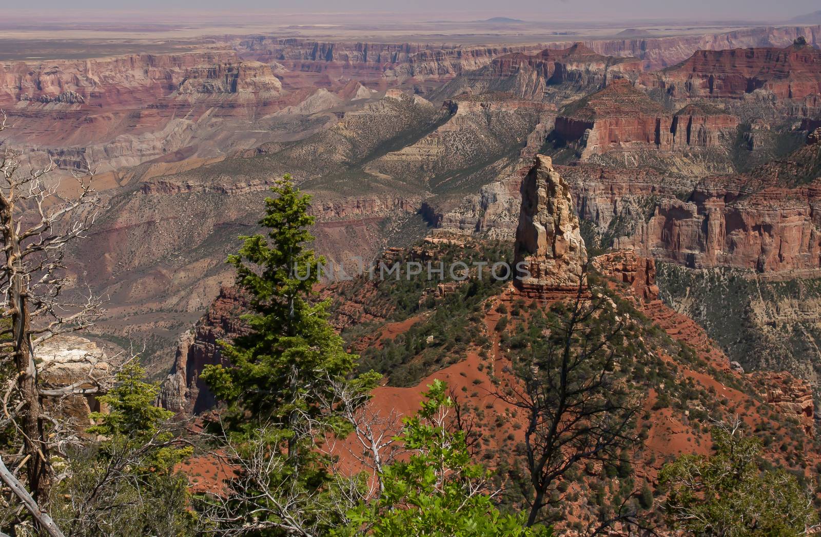 Grand Canyon North Rim, Grand Canyon National Park, Arizona.