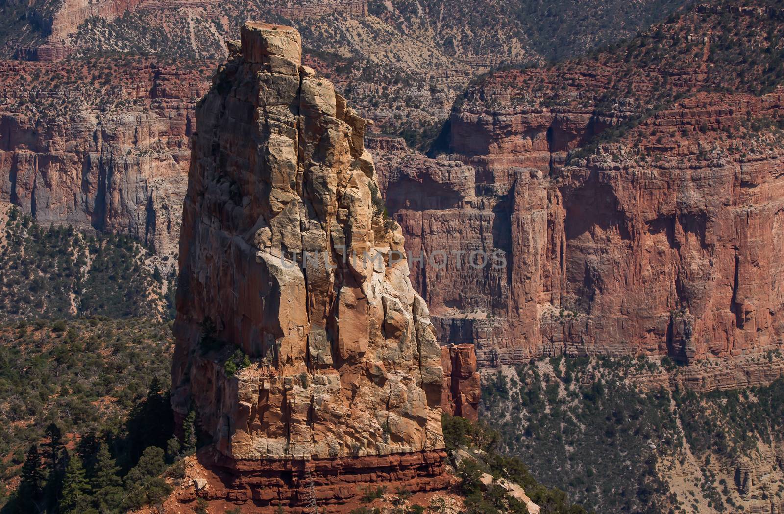 Grand Canyon North Rim, Grand Canyon National Park, Arizona.