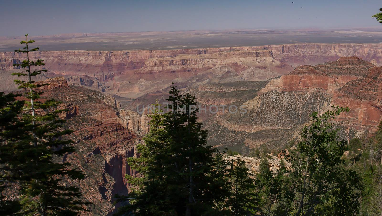 Grand Canyon North Rim, Grand Canyon National Park, Arizona.