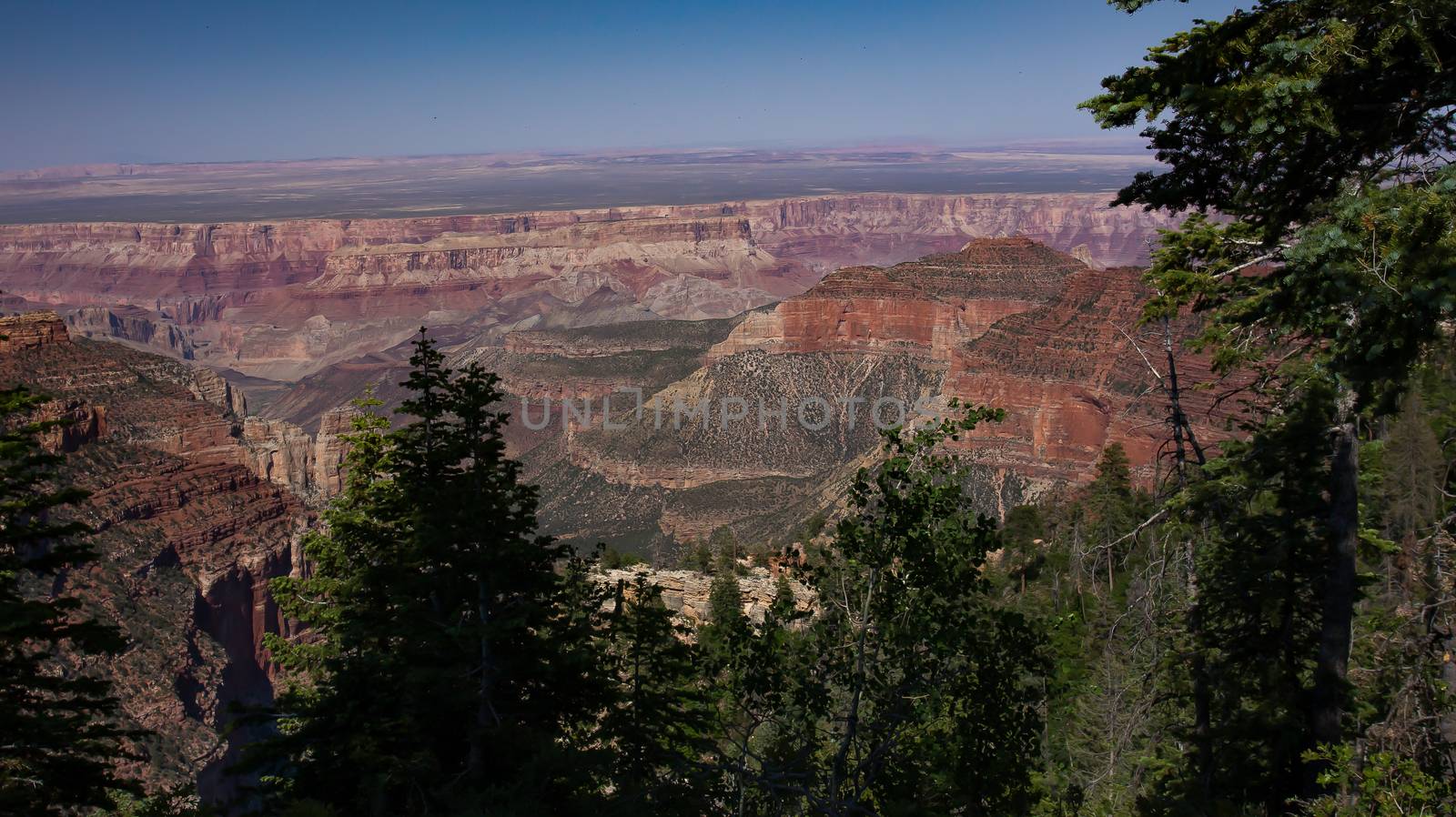 Grand Canyon North Rim by teacherdad48@yahoo.com