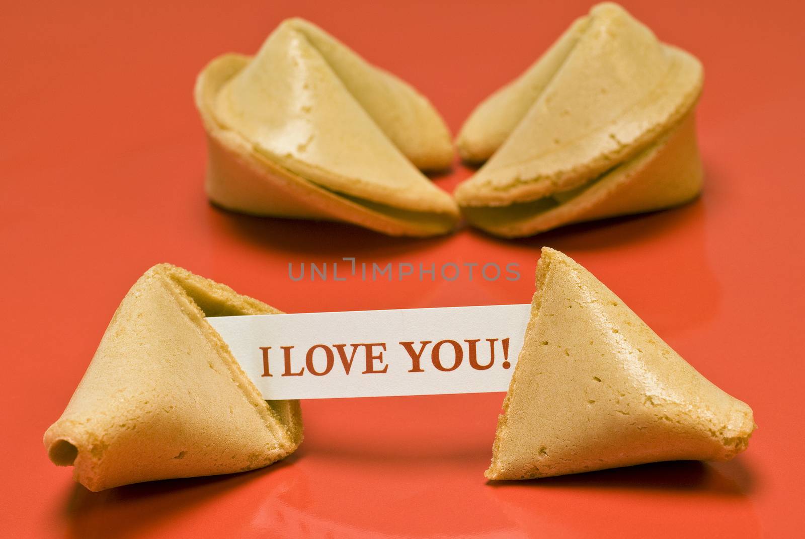 Chinese Fortune Cookie Reading I Love You by stockbuster1