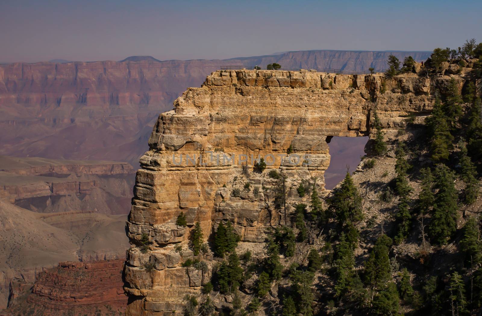 Grand Canyon North Rim, Grand Canyon National Park, Arizona.