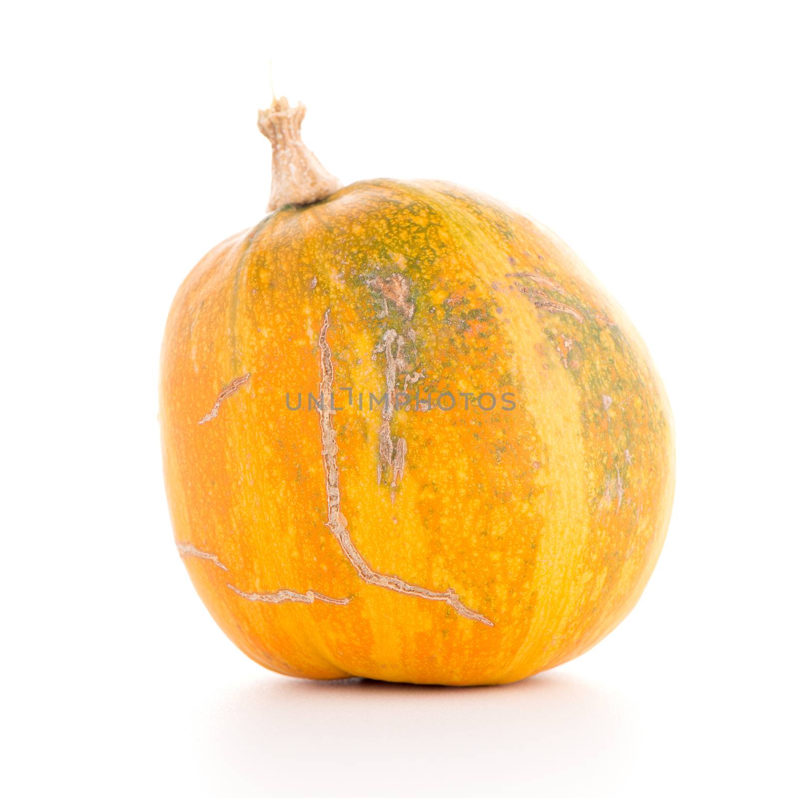 Pumpkin by homydesign