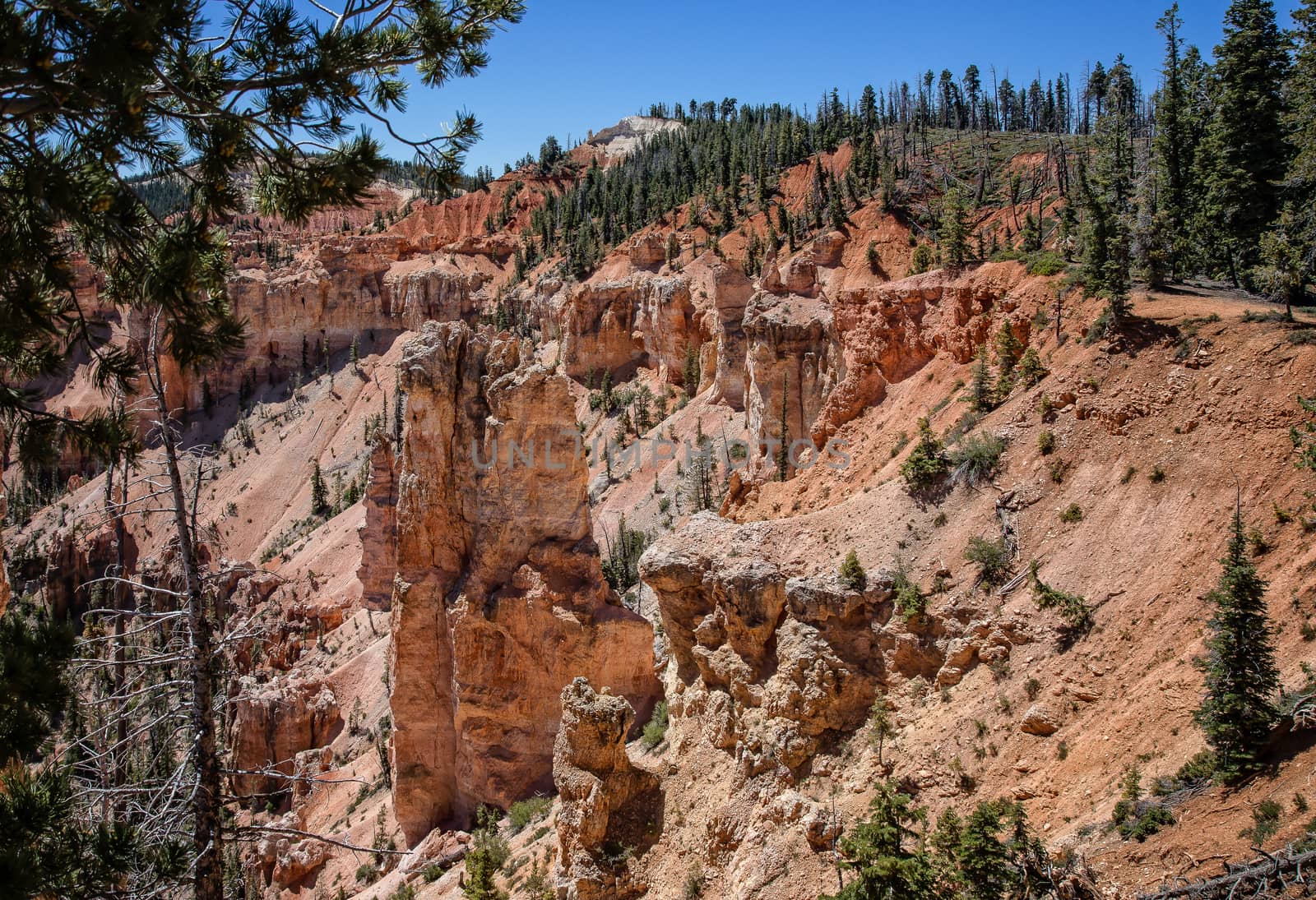 Bryce Canyon National Park, Utah.