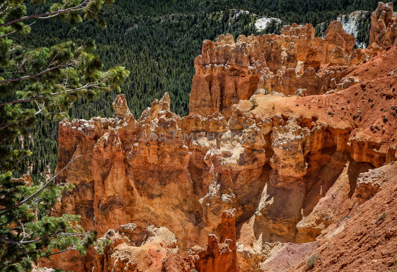 Bryce Canyon National Park, Utah.